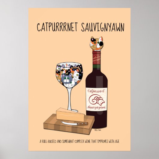 Poster Sauvigyawn (Devant)