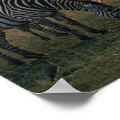 Poster Savanna Stripes Stillation (Coin)