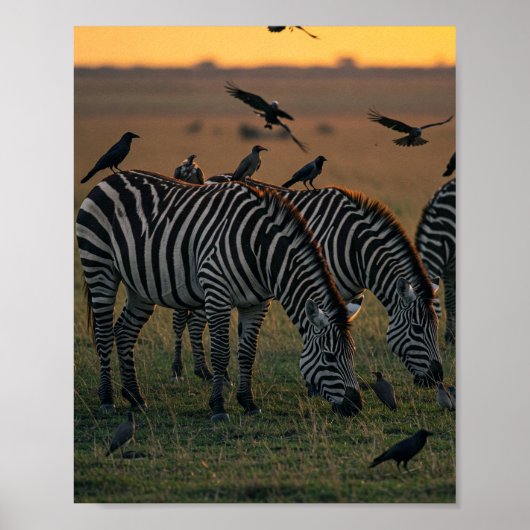 Poster Savanna Stripes Stillation (Devant)