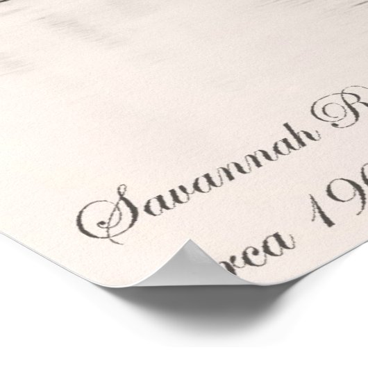 Poster Savannah (Coin)