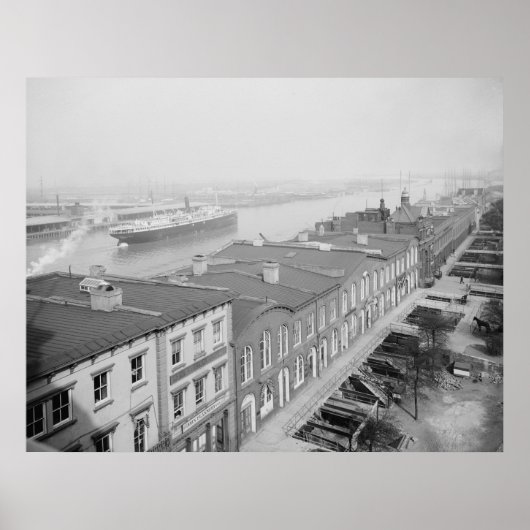 Poster Savannah (Devant)