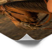 Poster Savannah Cole - Équitation (Coin)