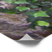 Poster Savannah Georgia Déplaisant Stairs (Coin)