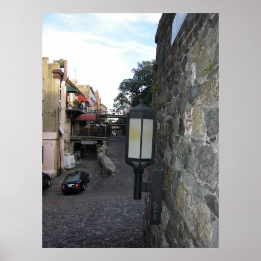 Poster Savannah rue arrière (Devant)