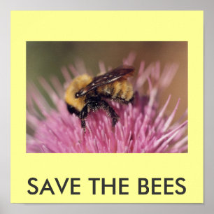 Poster : SAVE THE BEES