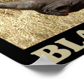 Poster Save the Black Rhino (Coin)