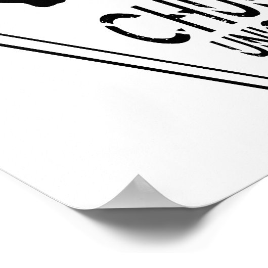 Poster Save The Chubby Unicorns (Coin)