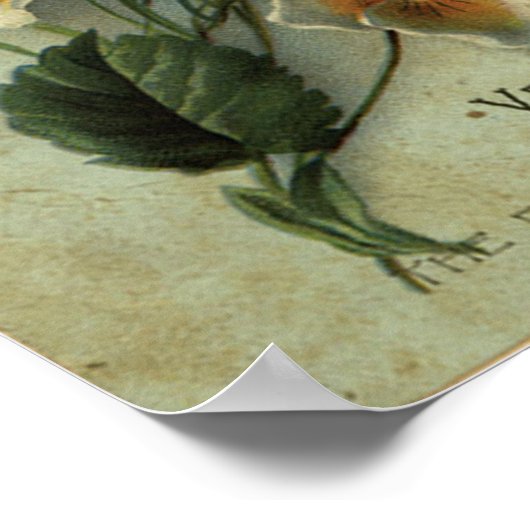 Poster savon velours (Coin)