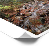 Poster Savoy Mountain State Park Berkshires (Coin)