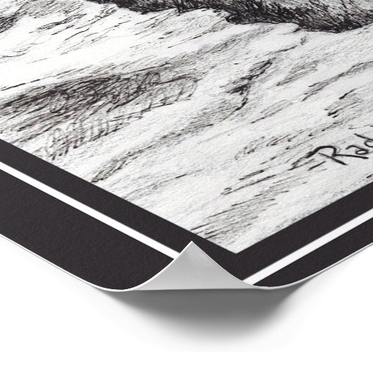 Poster Saw-Whet Owl  (Coin)