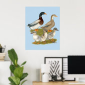 Poster Saxony Duck Family (Bureau à domicile)