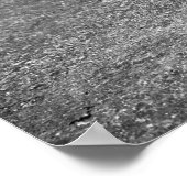 Poster Say Catnip : 1936 (Coin)