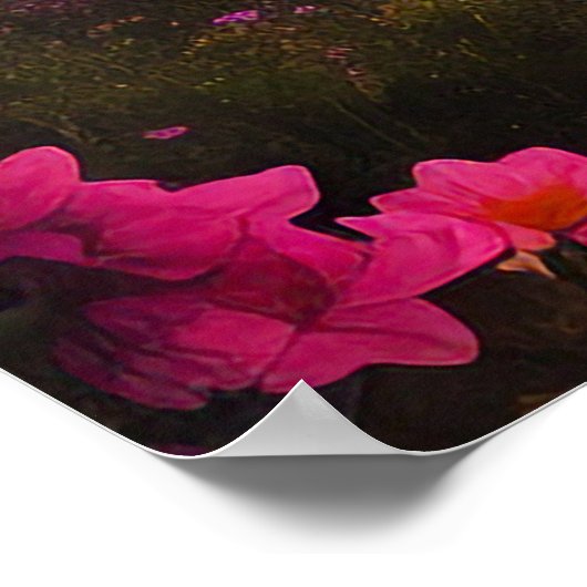 Poster Sayyida (Coin)