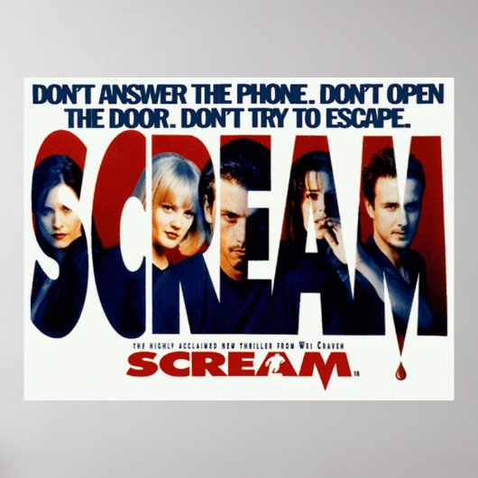 Poster Scander Horror Movie Original (Devant)