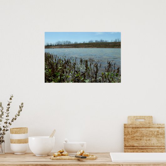 Poster Scape (Cuisine)