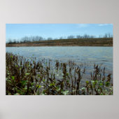 Poster Scape (Devant)