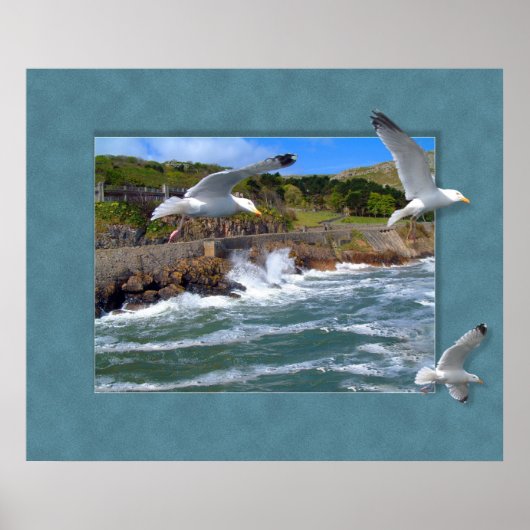 Poster Scape Seagull (Devant)