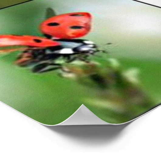 poster "Scared" (Hoek)