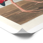 Poster Scarlet Ibis par Audubon (Coin)