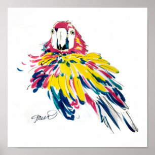 Poster Scarlet Macaw