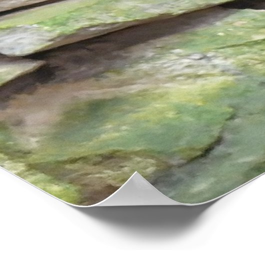 Poster Scarlet Macaws (Coin)