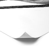 Poster Scarlet Tanager (Coin)