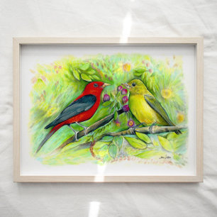 Poster Scarlet Tanager Birager Aquarelle Art Imprimer