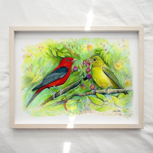 Poster Scarlet Tanager Birager Aquarelle Art Imprimer