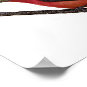 Poster Scarlet Tanager sur Branche (Coin)