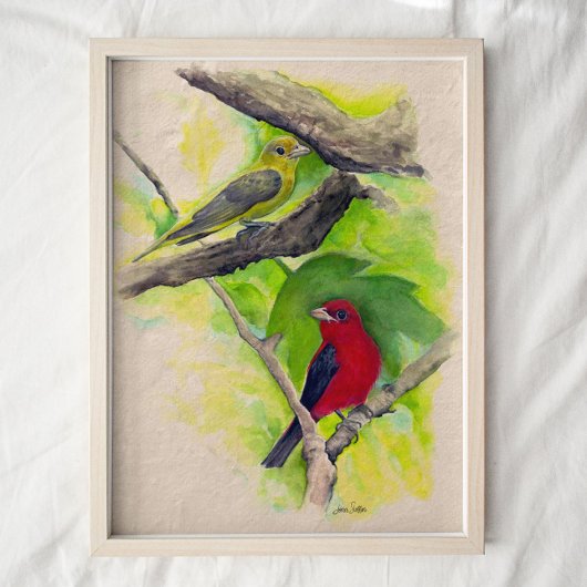 Poster Scarlet Tanagers Birds Aquarelle Art Imprimer