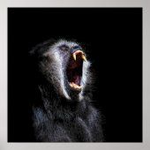 Poster Scary Black Gibbon Singe Vicious Dents Fangés (Devant)