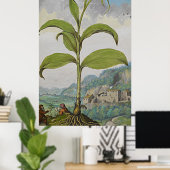 Poster Sceau d'art botanique antique Solomons (Bureau à domicile)