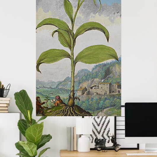 Poster Sceau d'art botanique antique Solomons (Bureau à domicile)