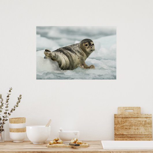 Poster Sceau de bébé précieux (Cuisine)