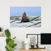 Poster Sceau de fourrure de yoga (Bureau à domicile)