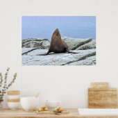 Poster Sceau de fourrure de yoga (Cuisine)