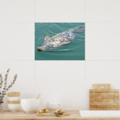 Poster Sceau de morue à capuchon flottant sur le dos (Cuisine)