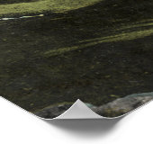 Poster Scène à Busch Sunken Gardens (Coin)