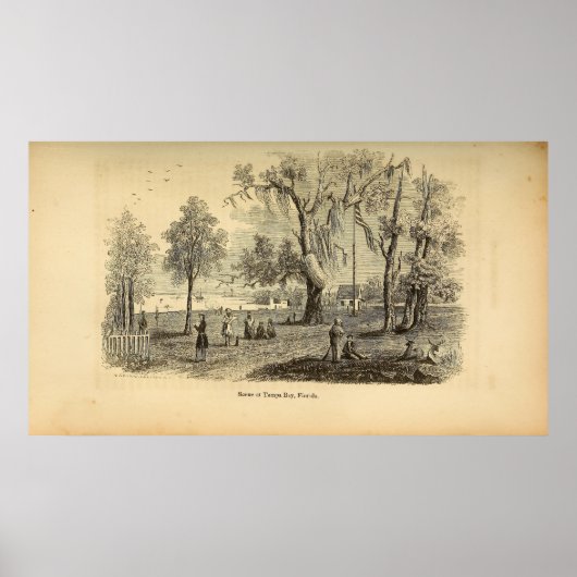 Poster Scène à Tampa Bay (Devant)