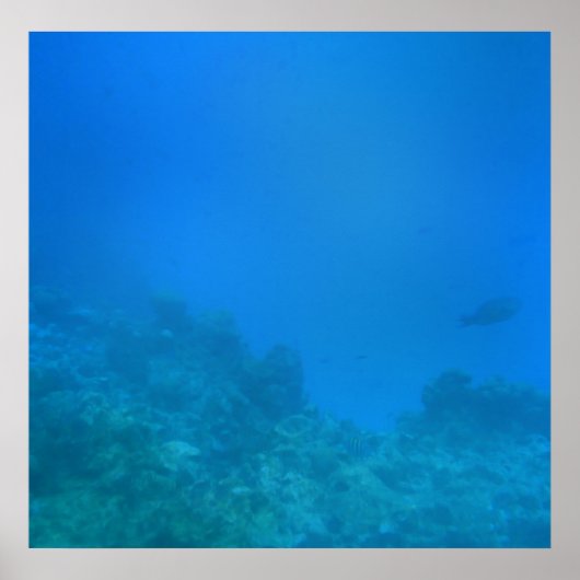 Poster Scène Arrière - plan sous-marine (Devant)