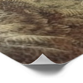 Poster Scène botanique de zèbres dans une oasis (Coin)