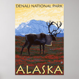 Poster Scène Caribou - Parc national Denali, Alaska