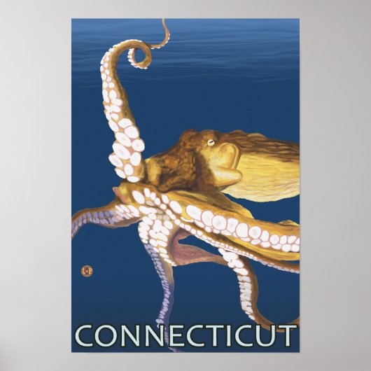Poster Scène ConnecticutOctopus (Devant)