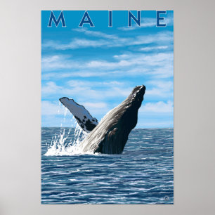 Poster Scène de baleines à bosse du Maine