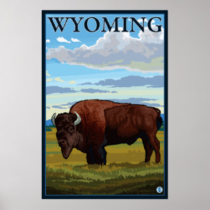 Poster Scène de bison - Wyoming