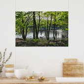 Poster Scène De Bois. Blackweir Woods, Cardiff (Cuisine)