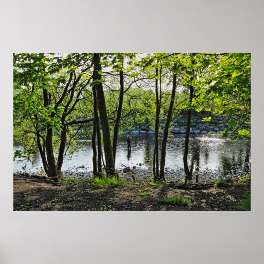 Poster Scène De Bois. Blackweir Woods, Cardiff (Devant)