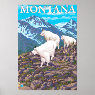 Poster Scène de chèvres de montagne - Montana