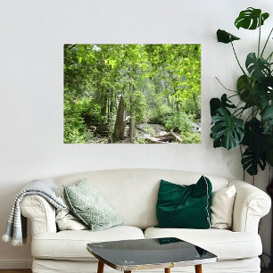 Poster Scène de Forêt Verte Magique.