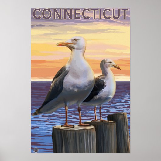 Poster Scène de goélands marins du Connecticut (Devant)